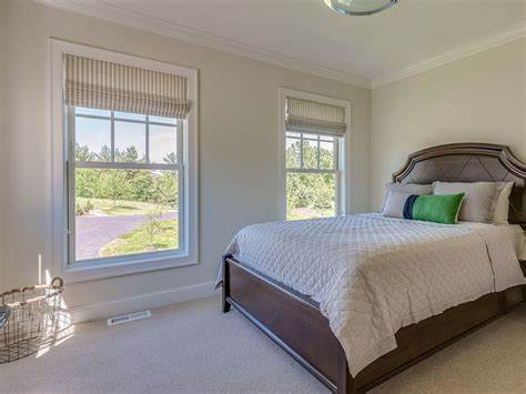 Bellevue double-hung windows services